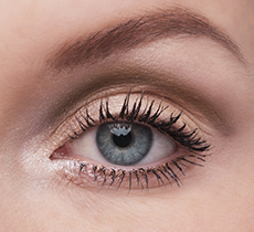 Frequently Asked Questions-